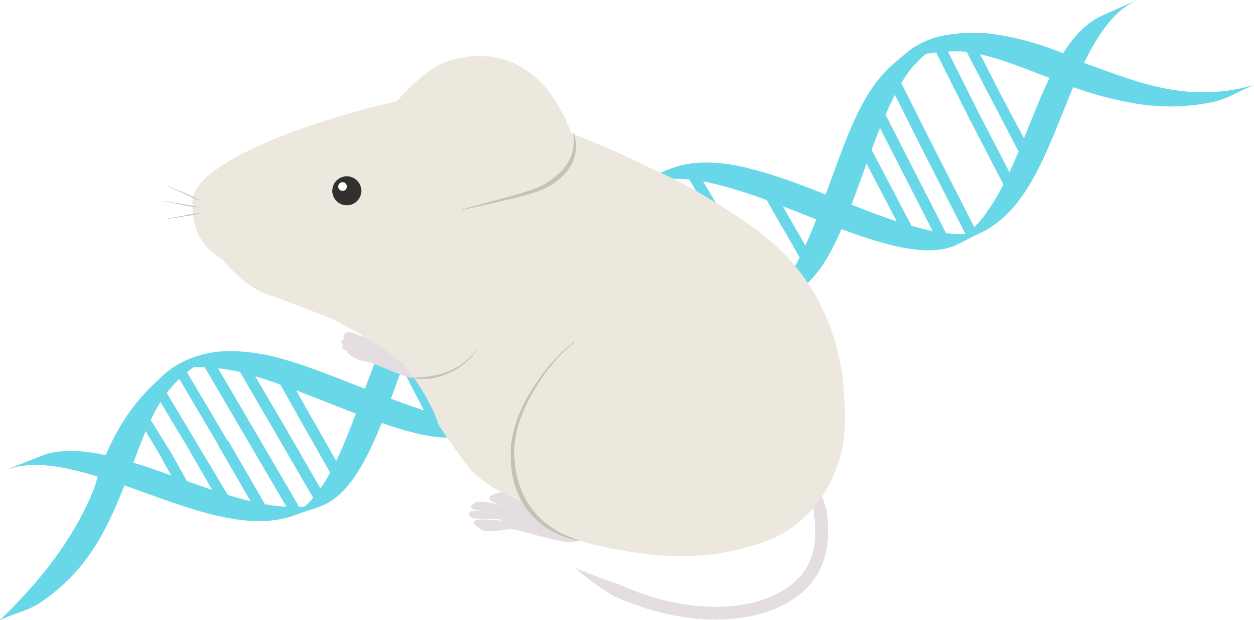 歯科医師監修山梨県甲府市ホワイトニング専門店虫歯予防歯周病予防歯を白くする