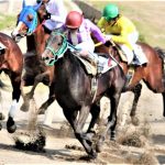 スポーツと歯の話⑨ 馬の走りも歯の健康が影響する?