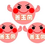 乳酸菌と歯の話